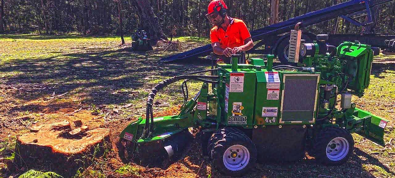 stump grinding and removal  demonstration